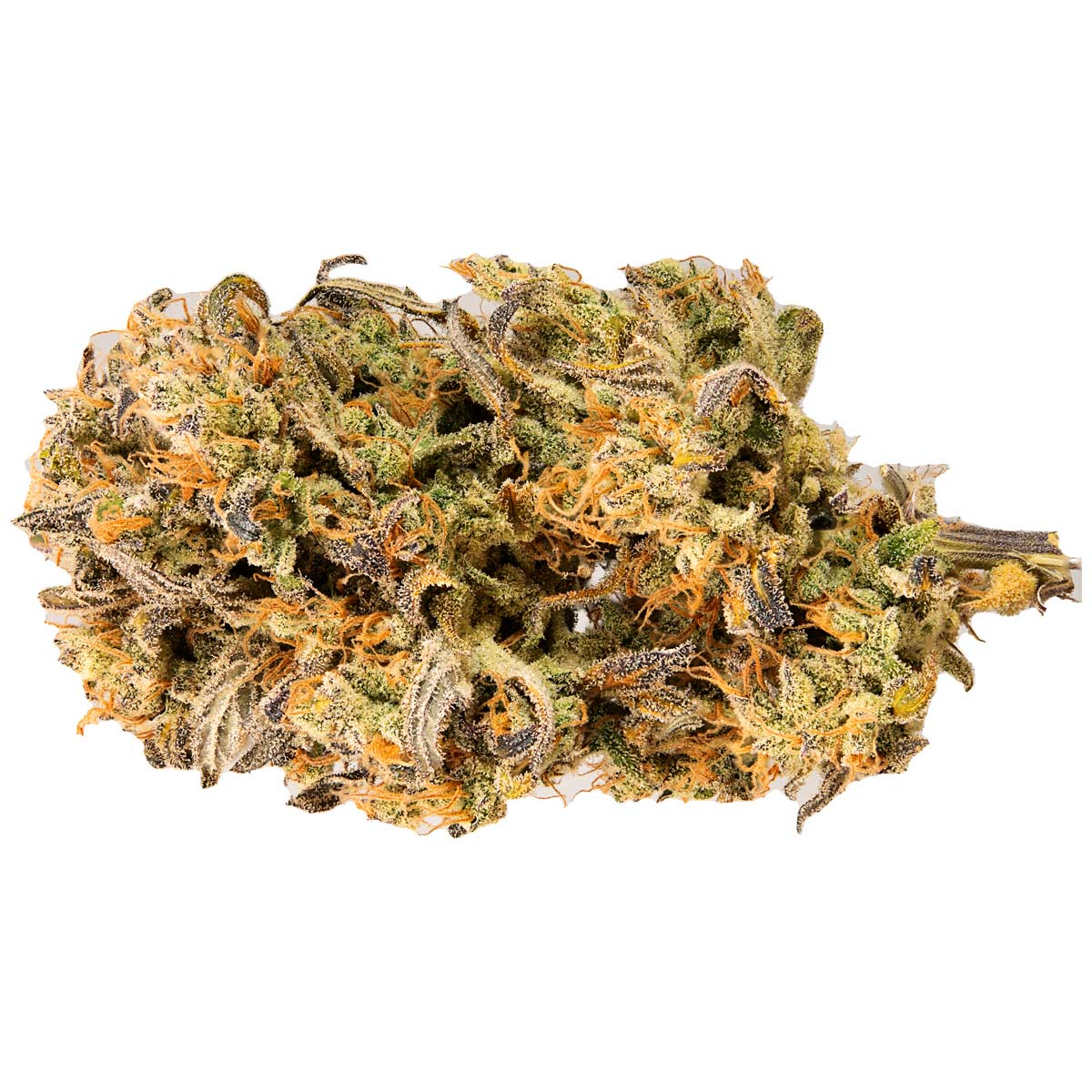 Jet Fuel Mandarine XL Auto Weed Strain Information Leafly